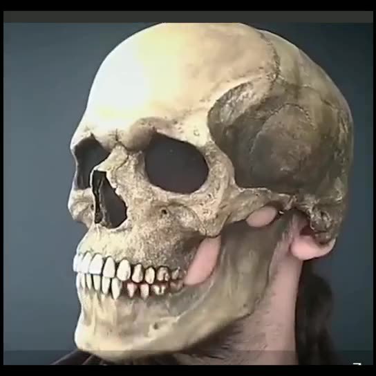 Halloween Skull Mask with Movable Jaw