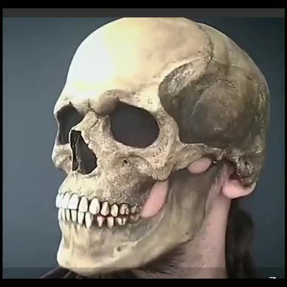 Halloween Skull Mask with Movable Jaw