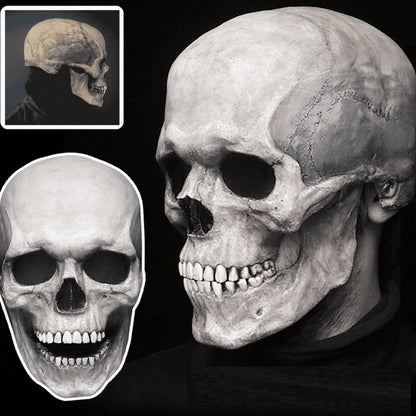 Halloween Skull Mask with Movable Jaw