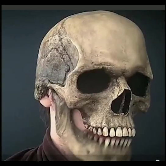 Halloween Skull Mask with Movable Jaw